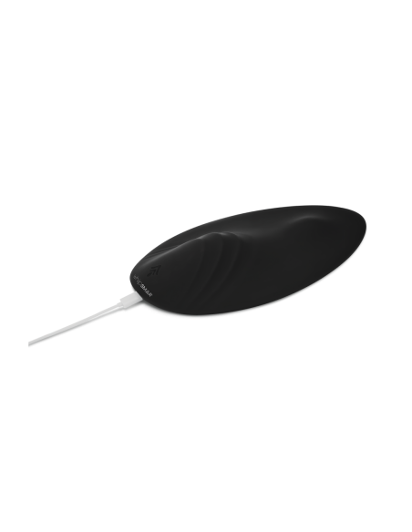 PASEO EN ALFOMBRA MÁGICA WHIPSMART