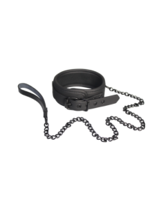 COLLAR Y CORREA BLAZE NEGRO