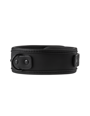COLLAR Y CORREA BLAZE NEGRO