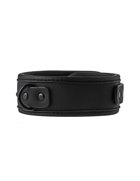 COLLAR Y CORREA BLAZE NEGRO