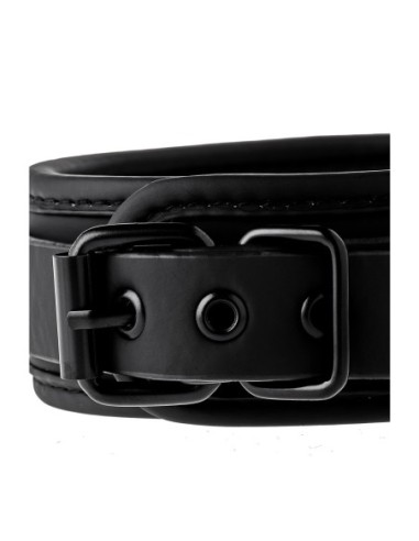 COLLAR Y CORREA BLAZE NEGRO