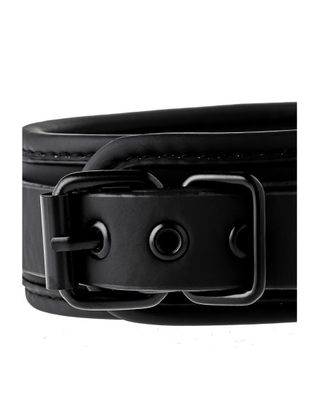 COLLAR Y CORREA BLAZE NEGRO