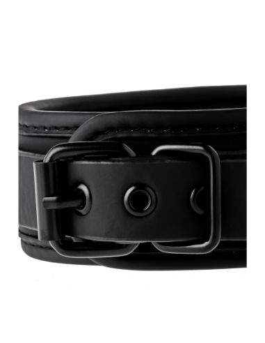 COLLAR Y CORREA BLAZE NEGRO