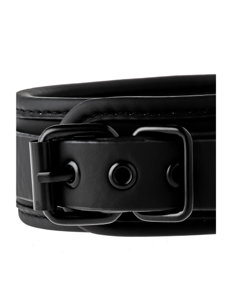 COLLAR Y CORREA BLAZE NEGRO