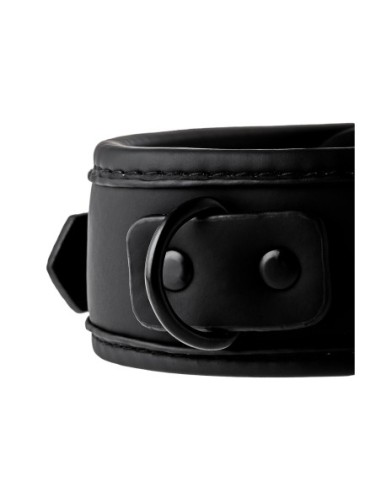 COLLAR Y CORREA BLAZE NEGRO