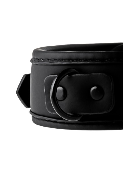 COLLAR Y CORREA BLAZE NEGRO