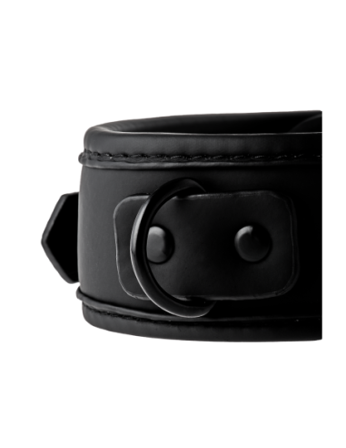 COLLAR Y CORREA BLAZE NEGRO