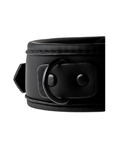 COLLAR Y CORREA BLAZE NEGRO