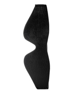 BLAZE CON LOS OJOS NEGROS 2