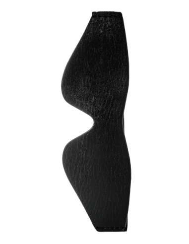 BLAZE CON LOS OJOS NEGRO