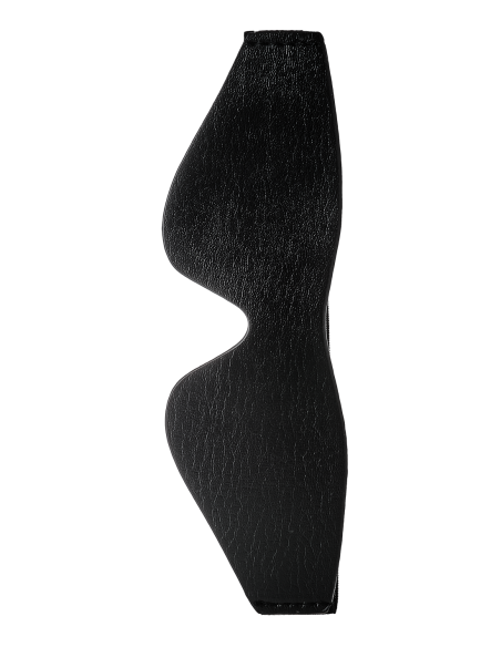 BLAZE CON LOS OJOS NEGRO