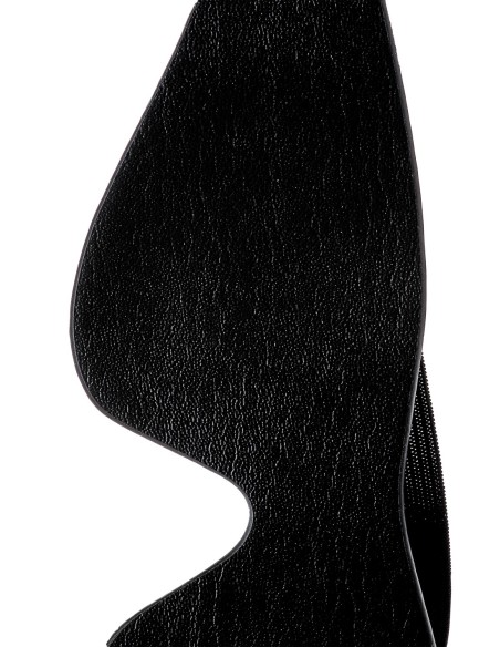 BLAZE CON LOS OJOS NEGRO