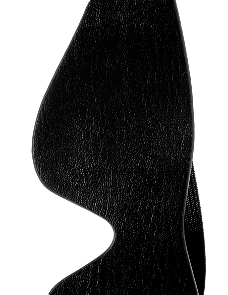 BLAZE CON LOS OJOS NEGRO