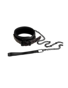 COLLAR Y CORREA BLAZE MORADO