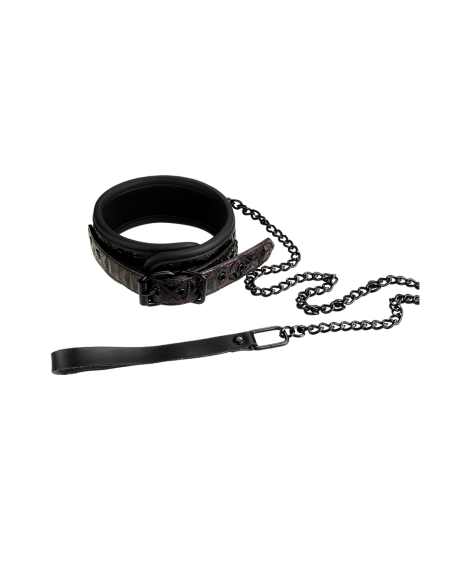 COLLAR Y CORREA BLAZE MORADO