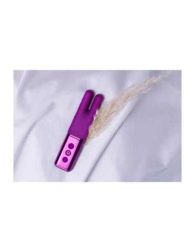 LA VARITA DE DOS CEREZAS