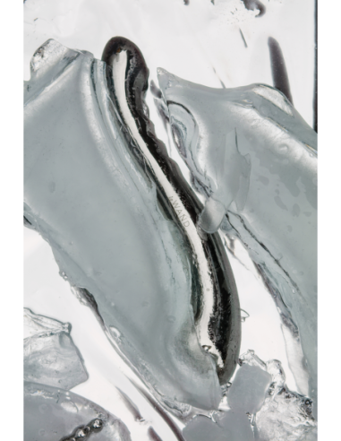 CONTORNO DE LA VARITA