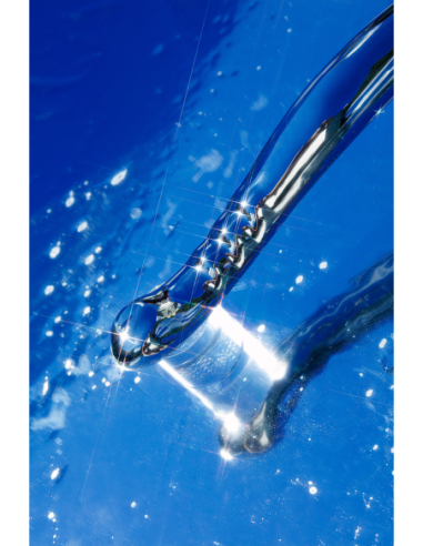 CONTORNO DE LA VARITA