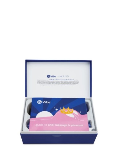 SET EDUCACIÓN Y MASAJE ANAL B-VIBE