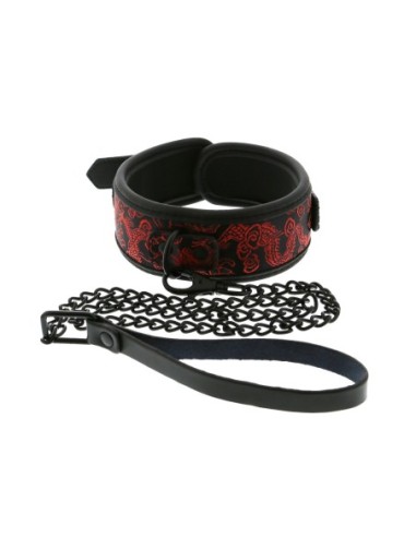 COLLAR Y CORREA BLAZE DELUXE