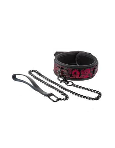 COLLAR Y CORREA BLAZE DELUXE