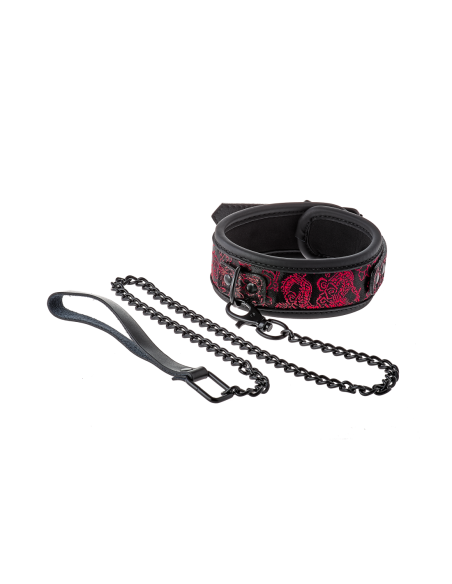 COLLAR Y CORREA BLAZE DELUXE