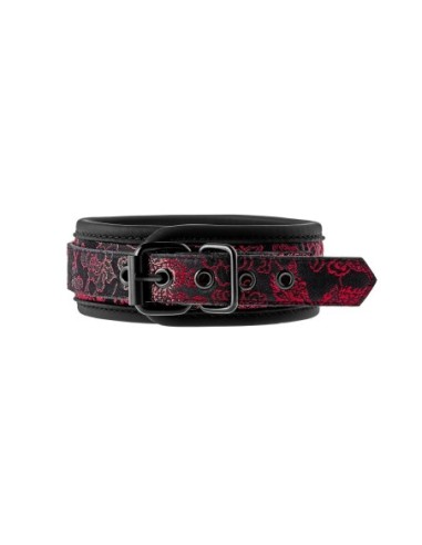 COLLAR Y CORREA BLAZE DELUXE