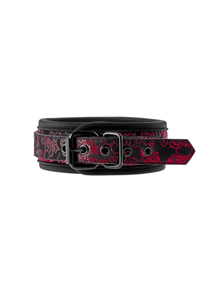 COLLAR Y CORREA BLAZE DELUXE