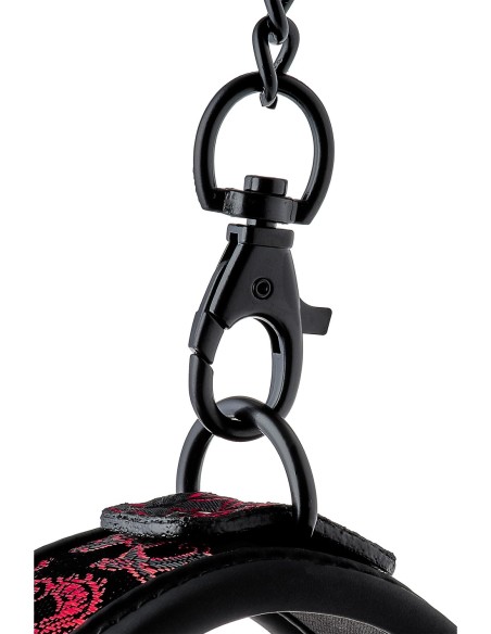 COLLAR Y CORREA BLAZE DELUXE