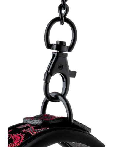 COLLAR Y CORREA BLAZE DELUXE