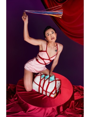 LA MÁQUINA SEXUAL UNICORNIO PREMIUM PARA MONTAR