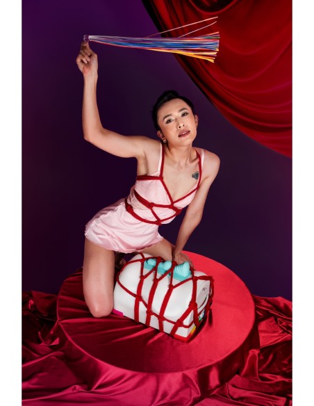 LA MÁQUINA SEXUAL UNICORNIO PREMIUM PARA MONTAR