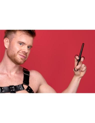 B-VIBE EDICIÓN MÁSTER