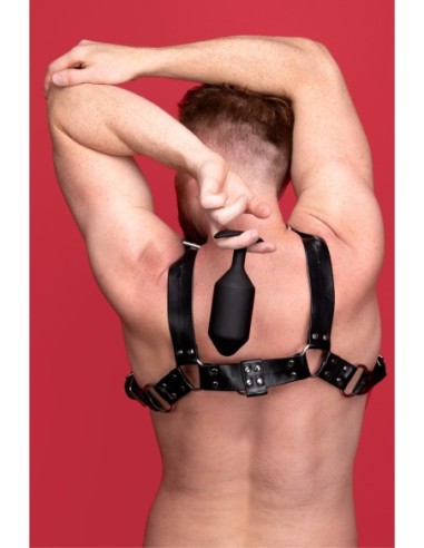 B-VIBE EDICIÓN MÁSTER