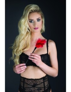 GP PEQUEÑO PLUMA TICKLER ROJO 2