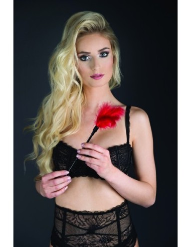 GP PEQUEÑO PLUMA TICKLER ROJO