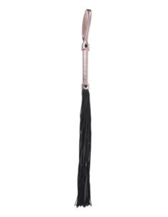 FLOGGER DE SEXO Y TRAVEDAD 2