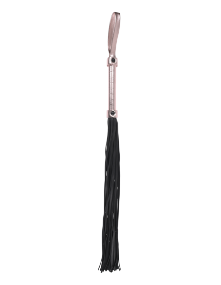 FLOGGER DE SEXO Y TRAVEDAD