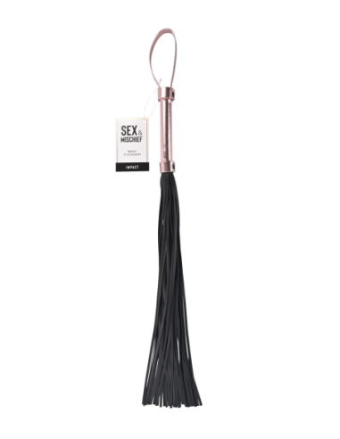 FLOGGER DE SEXO Y TRAVEDAD