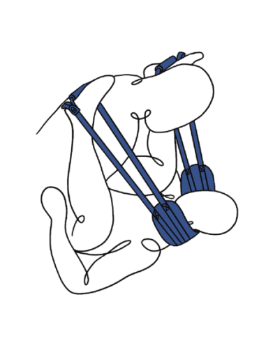 CORREA PARA PERROS DE LUJO PIVOT DE SPORTSHEETS