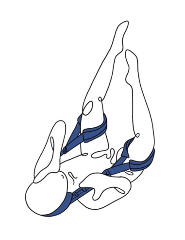 SOCIO DE POSICIONAMIENTO DE PIVOT DE SPORTSHEETS