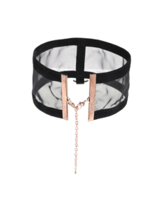 COLLAR DE DÍA TRANSPARENTE DE SEXO Y TRAVESÍA 2