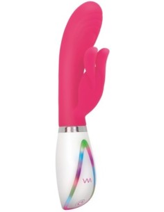 CONEJITO DISCO EVOLUCIONADO 2