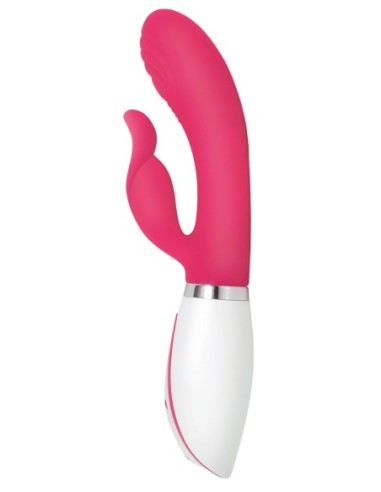 CONEJITO DISCO EVOLUCIONADO