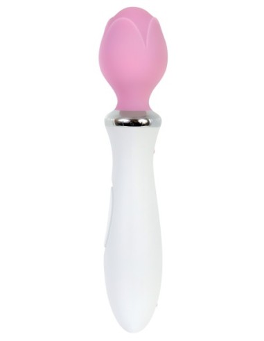 BROTE DE AMOR LUMINOSO EVOLUCIONADO