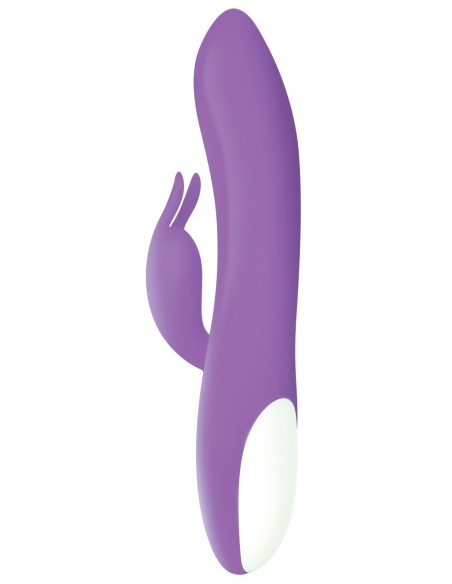 CONEJO ROMÁNTICO EVOLUCIONADO MORADO