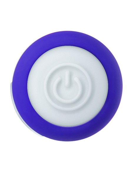 PEQUEÑA PASIÓN PÚRPURA EVOLUCIONADA