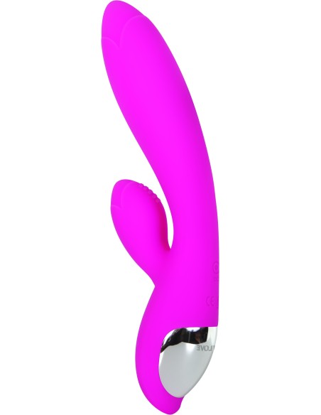 TULIPÁN ROSA EVOLUCIONADO TENTADORA