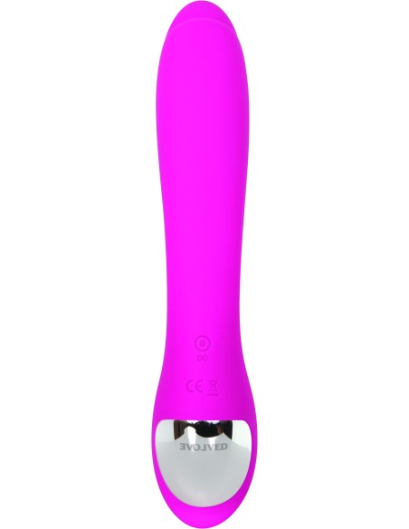 TULIPÁN ROSA EVOLUCIONADO TENTADORA