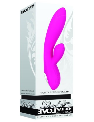 TULIPÁN ROSA EVOLUCIONADO TENTADORA